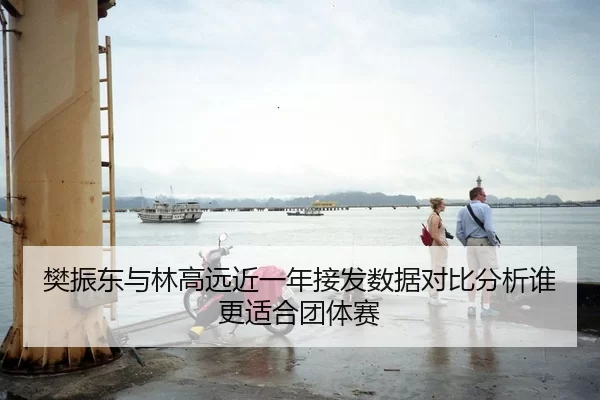 樊振东与林高远近一年接发数据对比分析谁更适合团体赛
