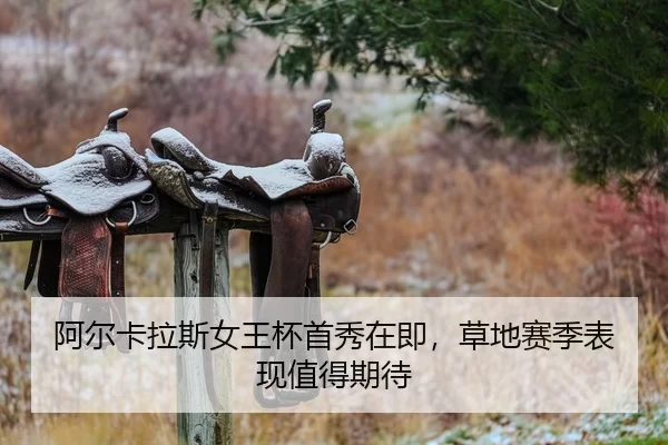 a-er-ka-la-si-nv-wang-bei-shou-xiu-zai-ji-cao-di-sai-ji-biao-xian-zhi-de-qi-dai-2-732.jpg