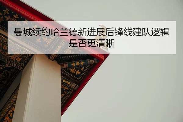man-cheng-xu-yue-ha-lan-de-xin-jin-zhan-hou-feng-xian-jian-dui-luo-ji-shi-fou-geng-qing-xi-2-437.jpg