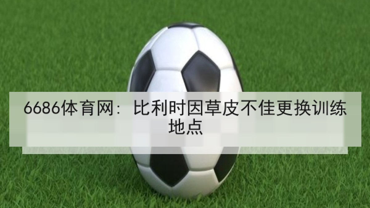 6686体育网: 比利时因草皮不佳更换训练地点