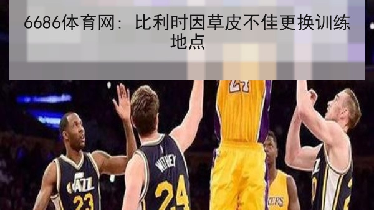 6686体育网: 比利时因草皮不佳更换训练地点