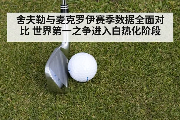 舍夫勒与麦克罗伊赛季数据全面对比 世界第一之争进入白热化阶段