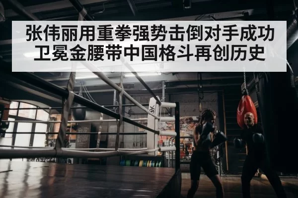 boxer training